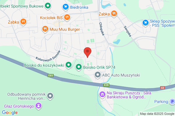 Auto-Sam. Nauka jazdy. Wnek M.