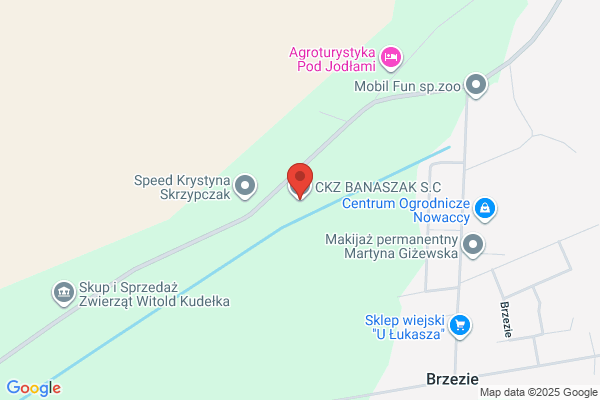 Banaszak. Nauka jazdy. Banaszak J.
