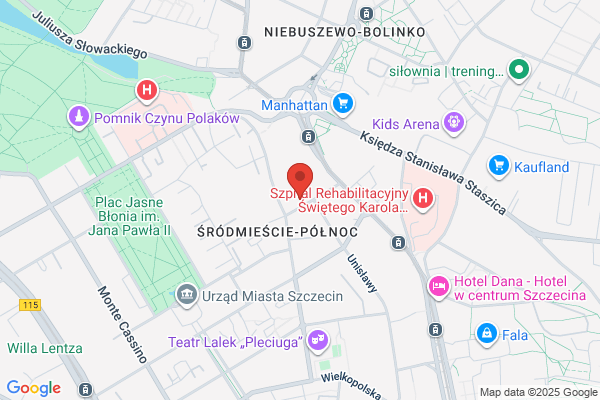 Lipski Andrzej. Nauka jazdy