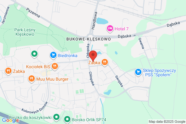 Furdal Jerzy. Parking strzezony