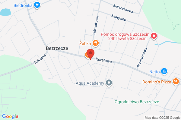 Tomaszewski Karol. Laboratorium protetyczne