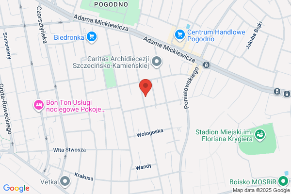 Zacharyasz Marta E. Pracownia techniki dentystycznej