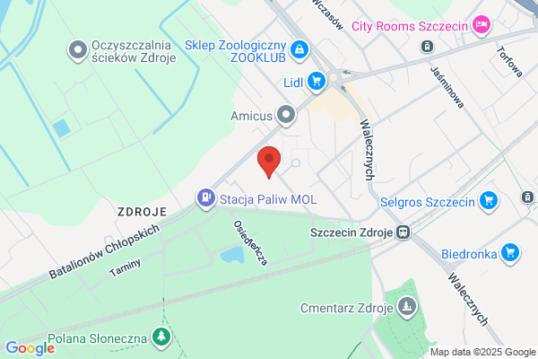 Przedszkole nr 54 Publiczne. Plastusiowo