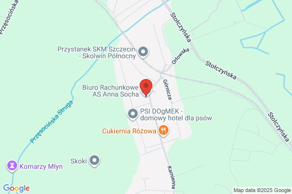 Sznajder Anna. Biuro rachunkowe