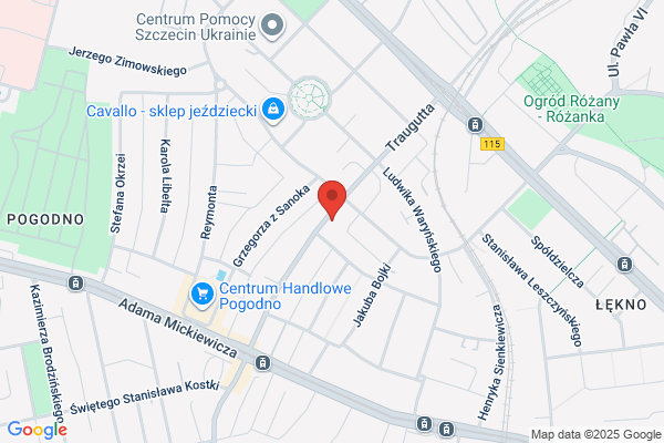 Witkowscy. Biuro rachunkowe. Witkowski A.