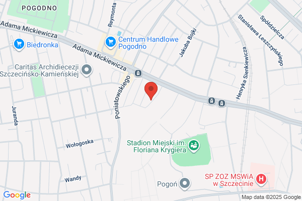 Grzegorczyk Maria. Rehabilitacja, fizykoterapia, masaz leczniczy