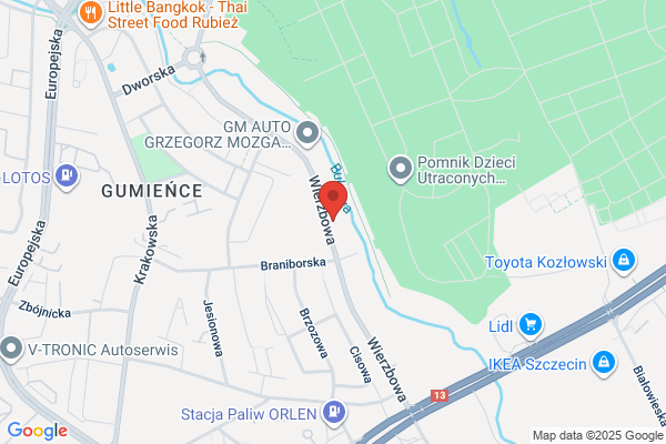 Romanski M. Autoholowanie. Transport wózków widlowych