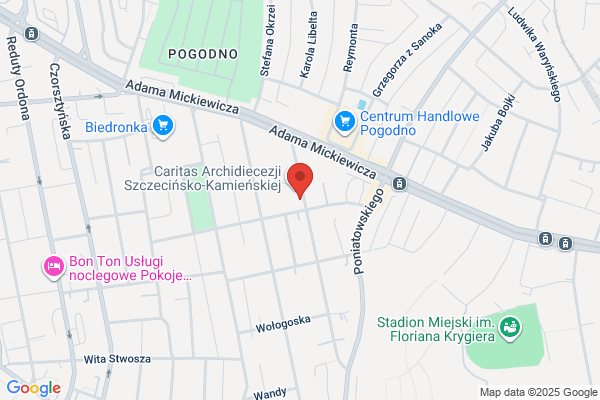 Kasznia i Syn. Hurtownia motoryzacyjna
