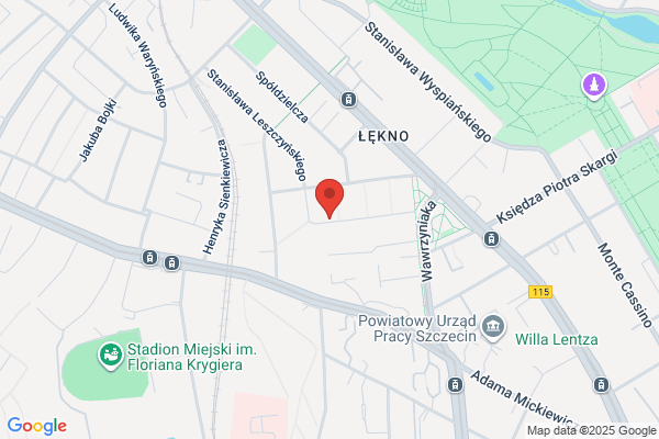 Senior. Uslugi opiekuncze. Reczniarek D.