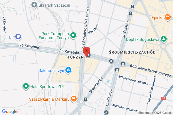 Szynszyla. Sklep zoologiczny