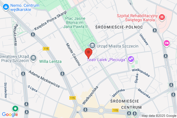 BMC. Bieniek-Matkowska E.
