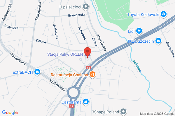 Polski Koncern Naftowy Orlen SA. Stacja paliw
