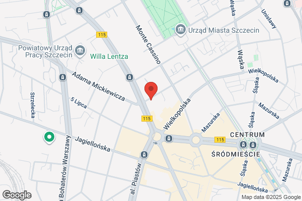 Dental Service. Sp. z o.o. Pierwsze Niepubliczne Policealne Studium Medyczne