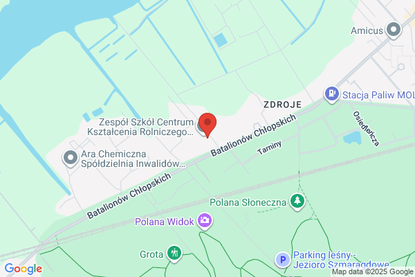 Liceum Profilowane nr X