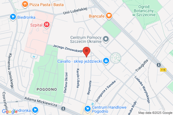 Ballada Joanna, mgr inz. Tlumacz przysiegly jez. czeskiego
