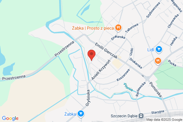 Robakowski Feliks. Uslugowy transport ciezarowy