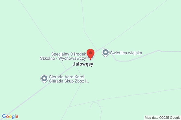 Specjalny Osrodek Szkolno - Wychowawczy