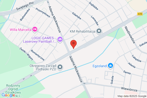 Auto Service. Warsztat samochodowy