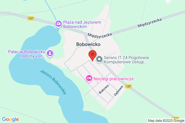 Dyszy Tadeusz. Uslugi transportowo - sprzetowe