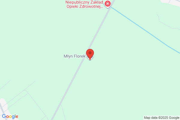 Florek Mieczyslaw. Mlyn