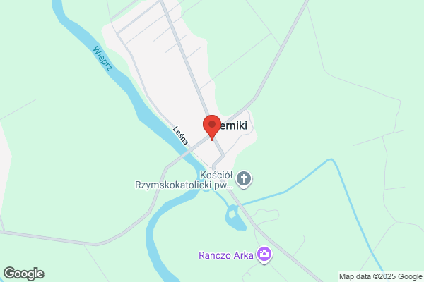 Janczuk Ewa. Sklep spozywczy SC(