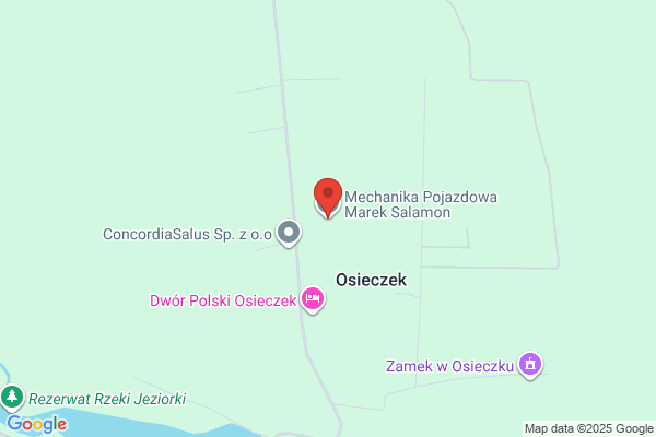 Salamon Radoslaw. Mechanika pojazdowa