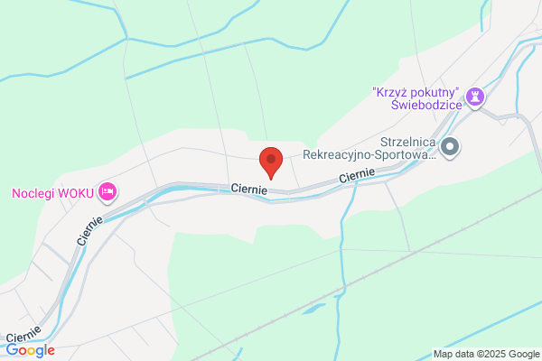 Januszewski Zygmunt. Uslugowy zaklad ogólnobudowlany. Tynki