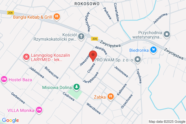 Kaminska Karolina. Krawiectwo damskie