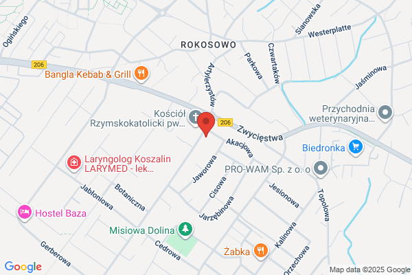 Puls SC. Niepubliczny Zaklad Opieki Zdrowotnej. Slapczynska R., Zymierski W.