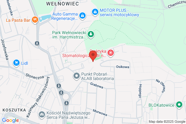 Elproservice SC. Pyka A., Fiks W.