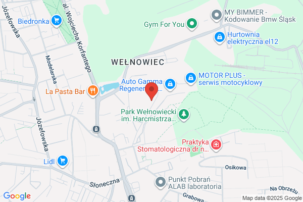 Pietka. Wydawnictwo