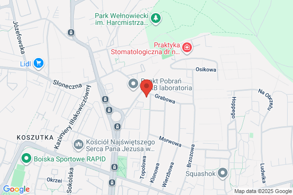 Omnis. S.j. Oprogramowanie uzytkowe, komputery