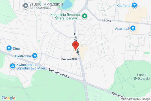 Baczyk. Kwiaciarnia
