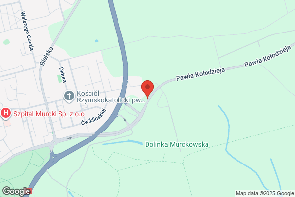 Medicus Dent. Stomatologia estetyczna, protetyka, profilaktyka