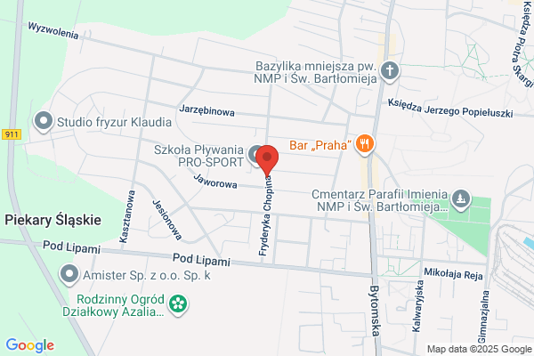 Spoleczne Ognisko Muzyczne