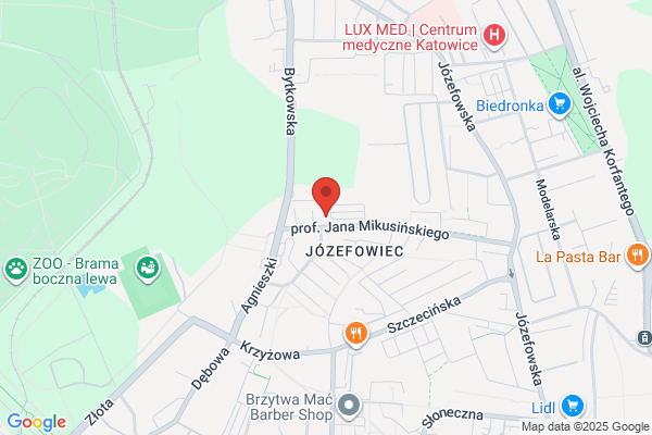 Auto-Elektro-Serwis. Warsztat elektromechaniki pojazdowej. Kierot B.