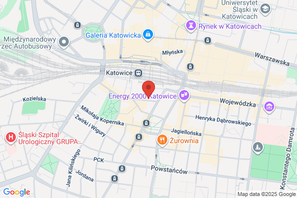 Amazonka. Sklep zoologiczny