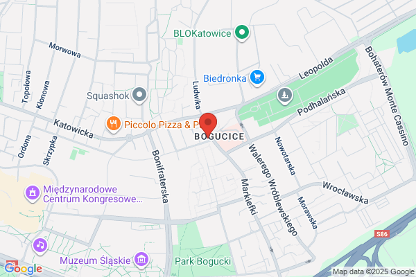 Gekon. Sklep zoologiczny