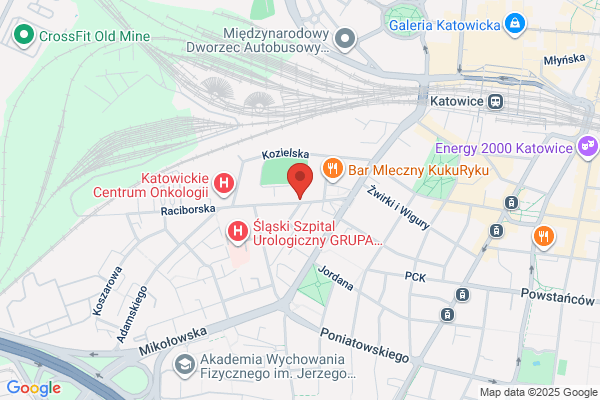 Zasadnicza Szkola Zawodowa Zespolu Szkól Komunikacyjnych i Ekonomicznych