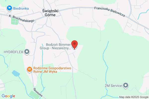Bodzon