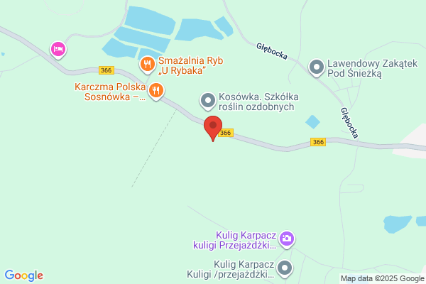 Ogród. PPHU. Lewicki A.