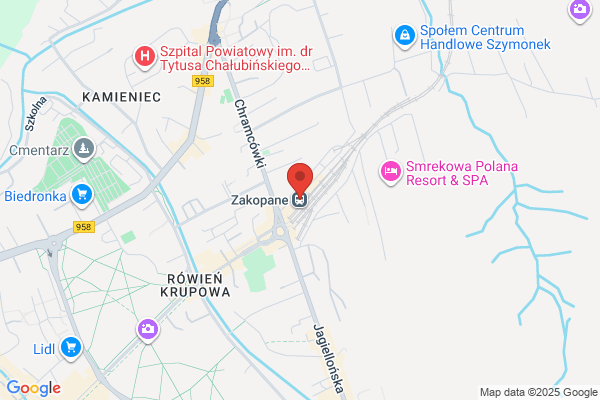PKP. Sekcja Przewozów Pasazerskich Zakopane. Stacja kolejowa