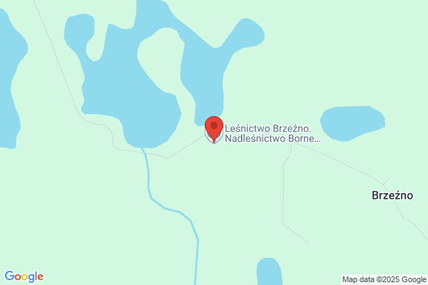 Lesnictwo Brzezno. Nadlesnictwo Borne Sulinowo