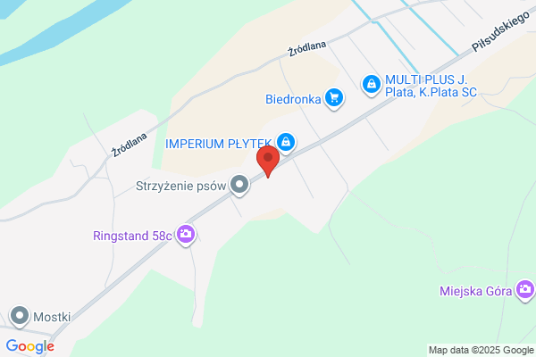 Janex. Sklep motoryzacyjno - przemyslowy