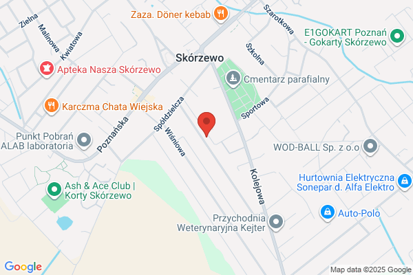 Orient Serwis-Pralnia Dywanów Orientalnych-Czyszczenie Dywanów Wełnianych-Poznań
