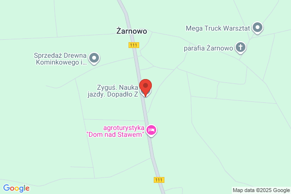 Lisowski Zbigniew, inz. Nauka jazdy