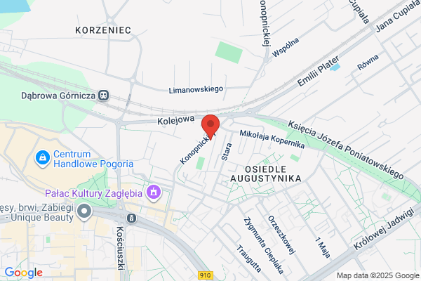 Mlynarska-Dabek Ewa. Tlumacz przysiegly jez. francuskiego
