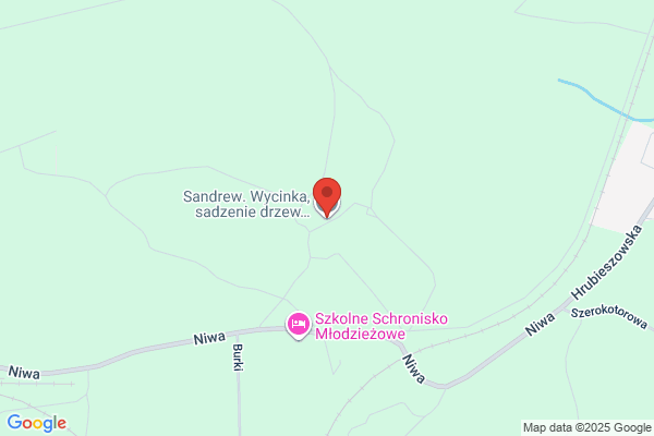 Sandrew. Wycinka, sadzenie drzew. Drewno kominkowe
