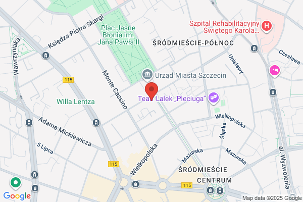 Muzyka. Agencja koncertowa. Mezyk-Gebska D., Gebski B.