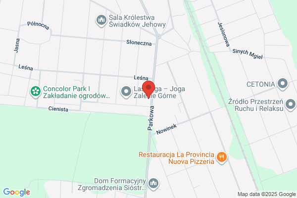 Ziko. Zakladanie i konserwacja ogrodów. Nawadnianie. Walczak Pawel